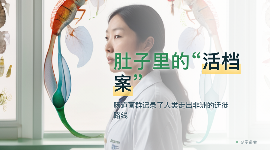 肚子里的"活档案":肠道菌群记录了人类走出非洲的路线