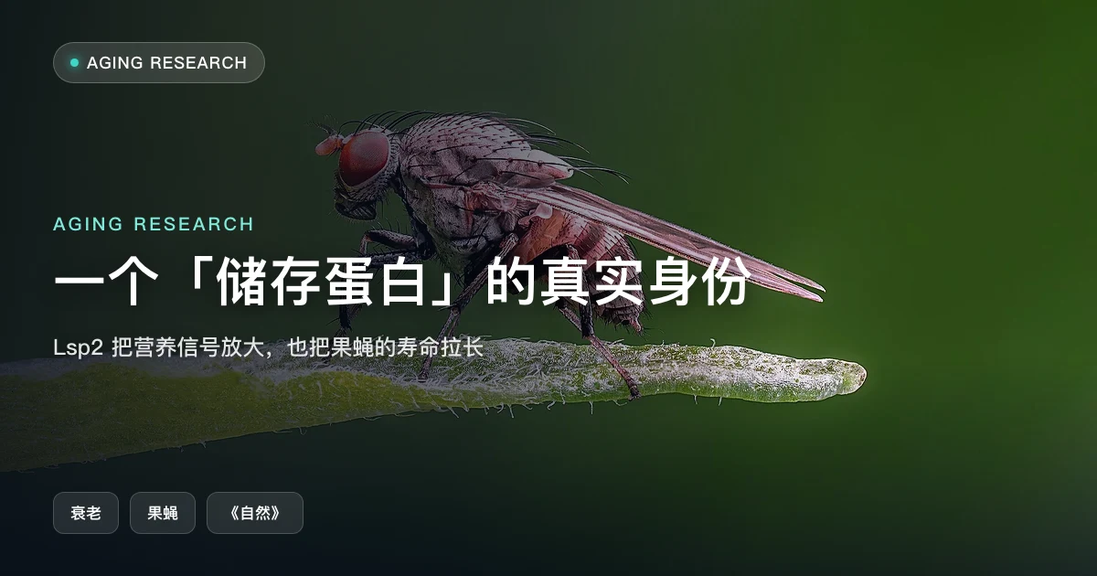 一个「储存蛋白」的真实身份:果蝇的营养信号放大器