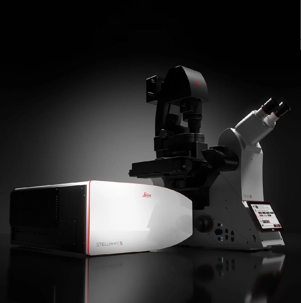Leica STELLARIS 5 共聚焦显微镜