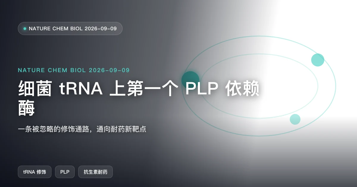细菌 tRNA 上第一个 PLP 依赖酶，通向耐药新靶点