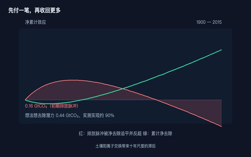 图2：先出现排放脉冲，净去除随后追平并反超，滞后来自土壤阳离子交换