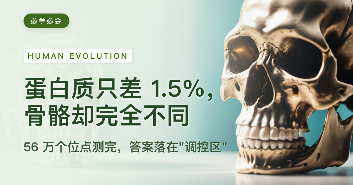 "人猿骨骼差在哪"有了答案:不在基因,在基因的开关