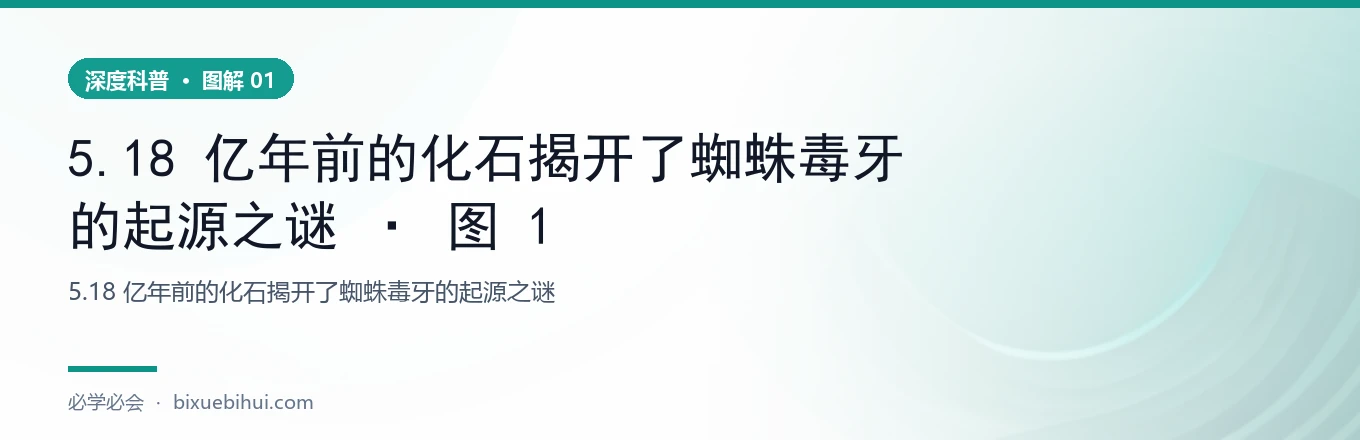 5.18 亿年前的化石揭开了蜘蛛毒牙的起源之谜 · 图 1
