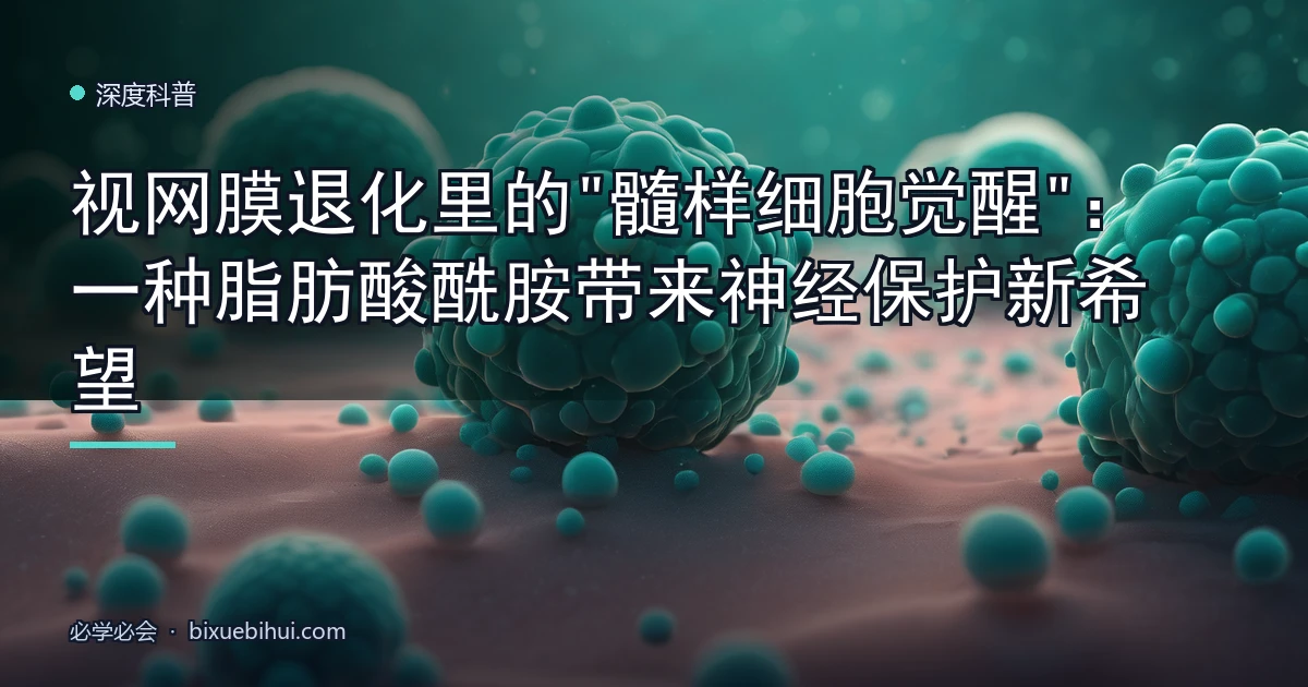 视网膜退化里的"髓样细胞觉醒":一种脂肪酸酰胺带来神经保护新希望