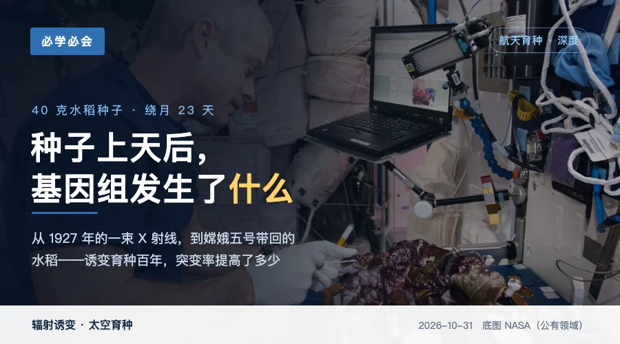 水稻种子绕月 23 天后，基因组发生了什么