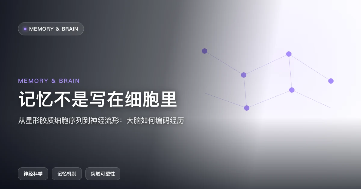 记忆不是写在细胞里：从星形胶质细胞到神经流形