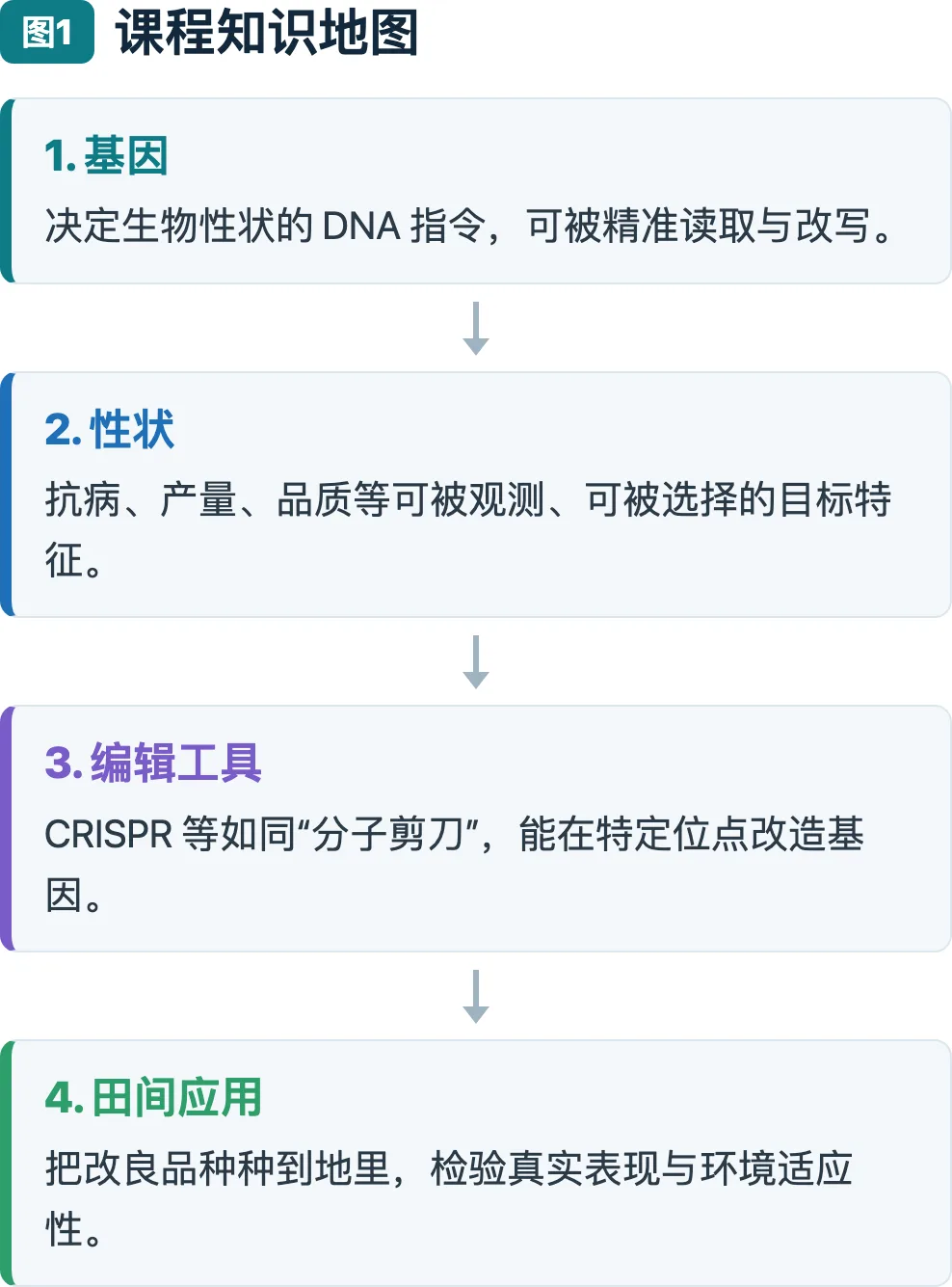 课程知识地图