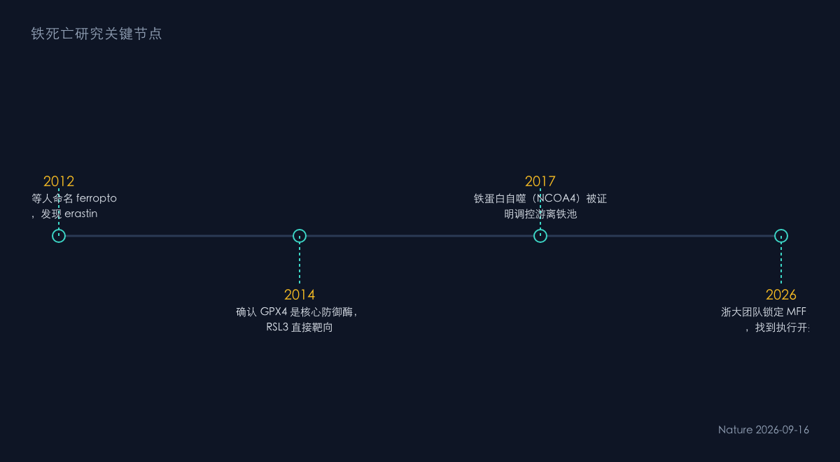 图2:铁死亡研究的时间线