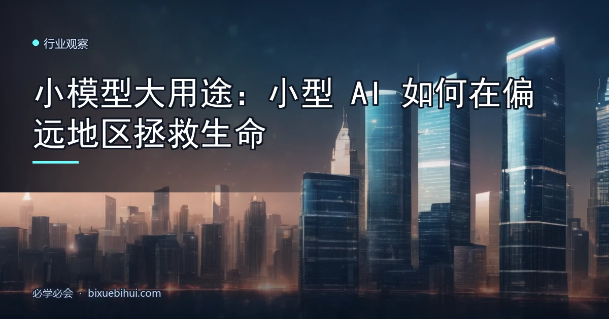 小模型大用途:小型 AI 如何在偏远地区拯救生命