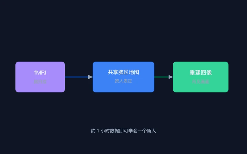 图1：fMRI 重建图像示意