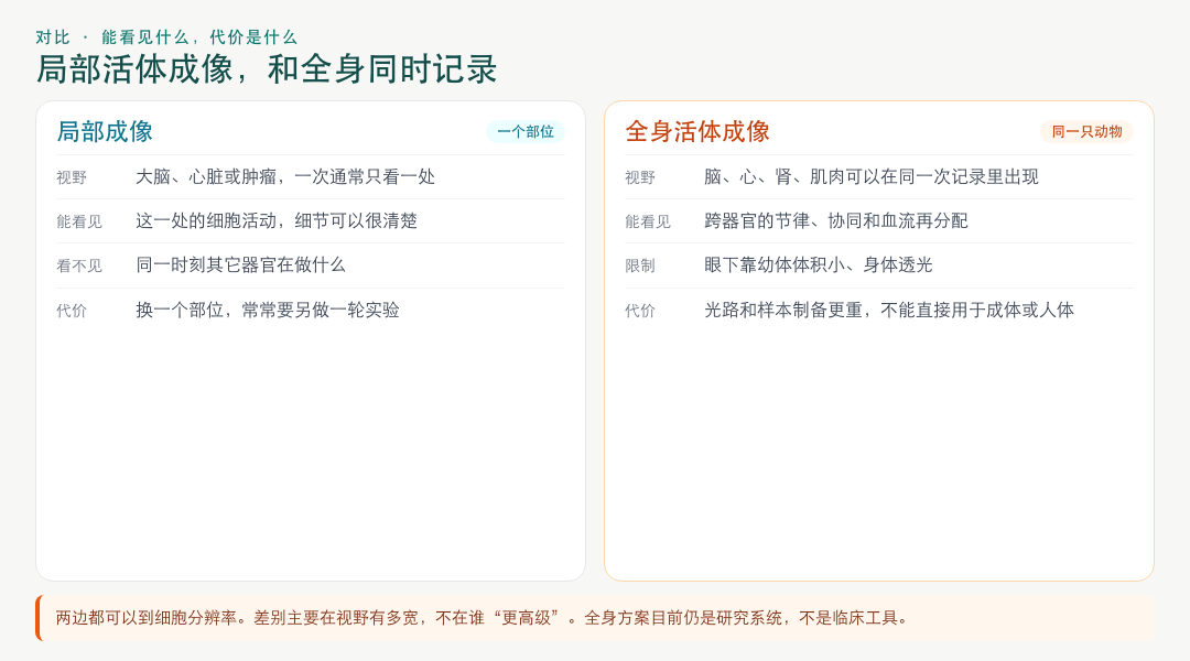 局部成像与全身活体成像的对比