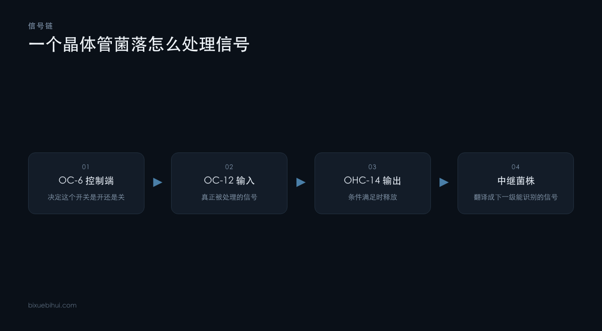 一个晶体管菌落如何处理控制端、输入与输出