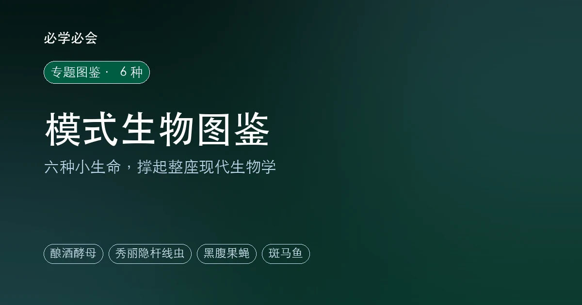 模式生物图鉴：6 种撑起现代生物学的小生命