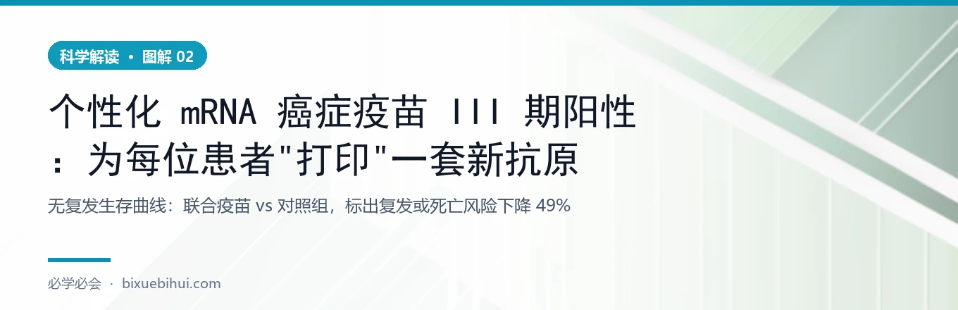 无复发生存：联合疫苗 vs 对照组
