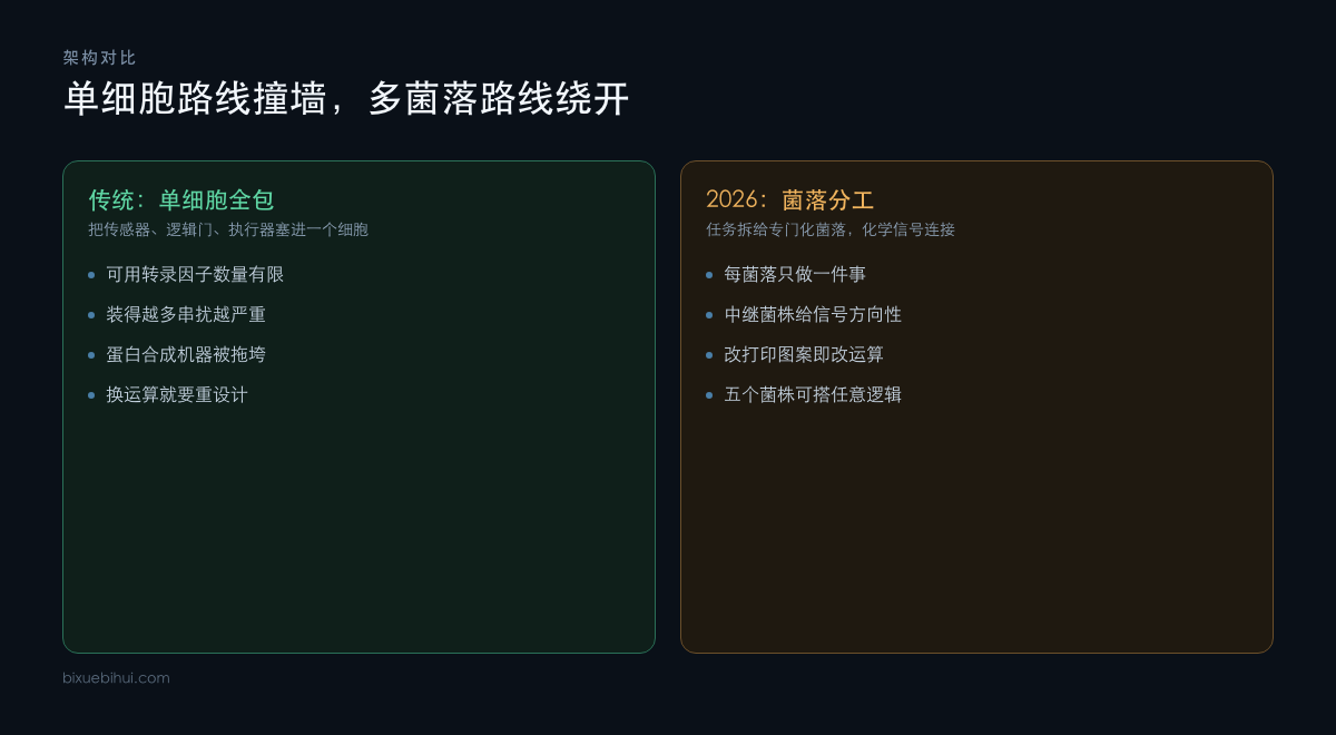 单细胞全包路线与多菌落分工路线的对比