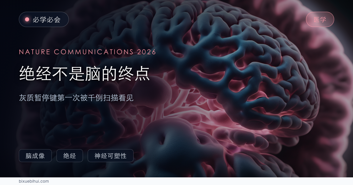 绝经不是脑的终点:灰质「暂停键」第一次被千例扫描看见