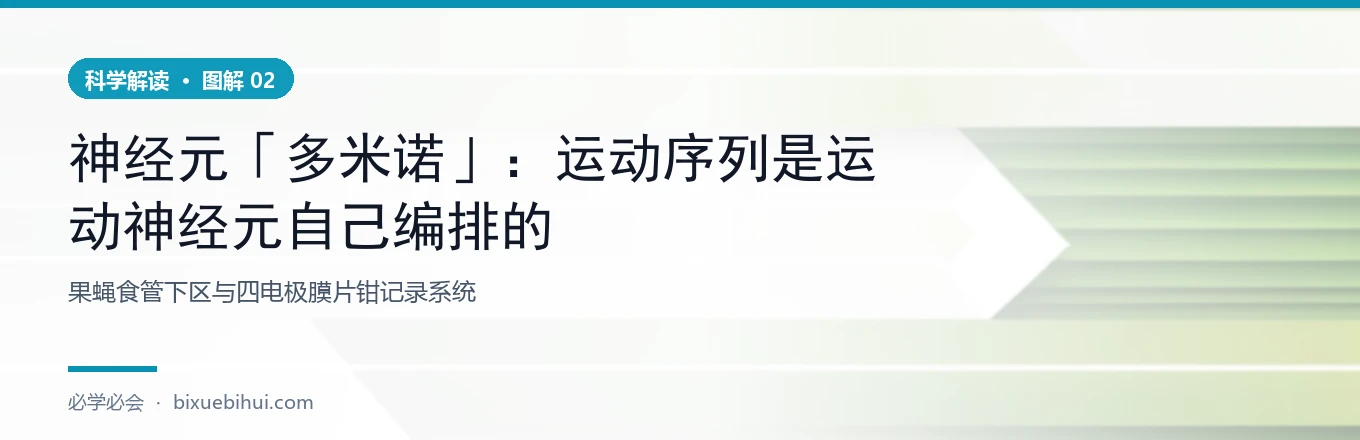 传统图景与新的图景