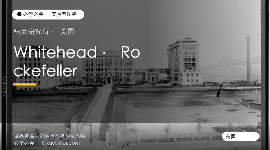 怀特黑德与洛克菲勒:美国精英研究所的双子星