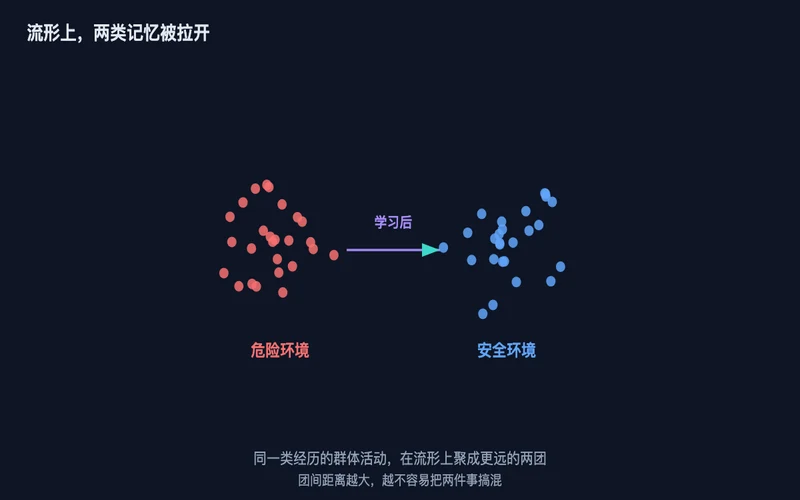 图2：学习后，同一类经历的群体活动在流形上聚成更远的两团，距离越大越不容易混淆