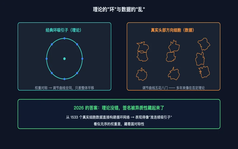 图1：理论的