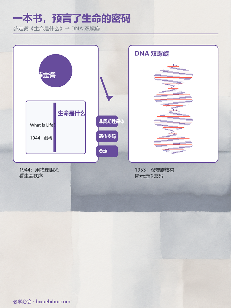 d6_schrodinger_infographic