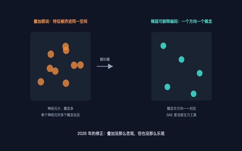 图1：叠加假说与稀疏可解释编码的对照