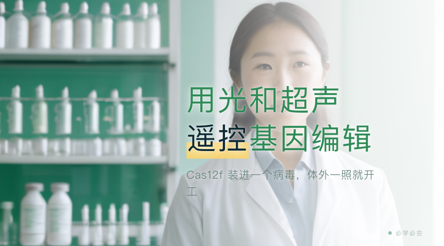 用光和超声遥控基因编辑：Cas12f 装进一个病毒，体外一照就开工