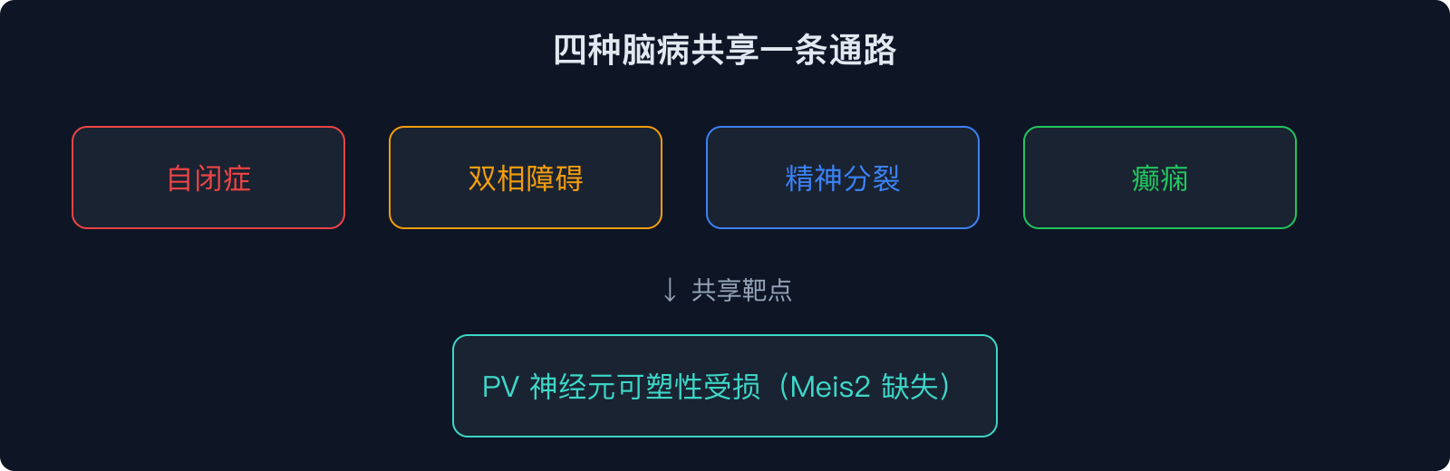 四种脑病共享一条通路