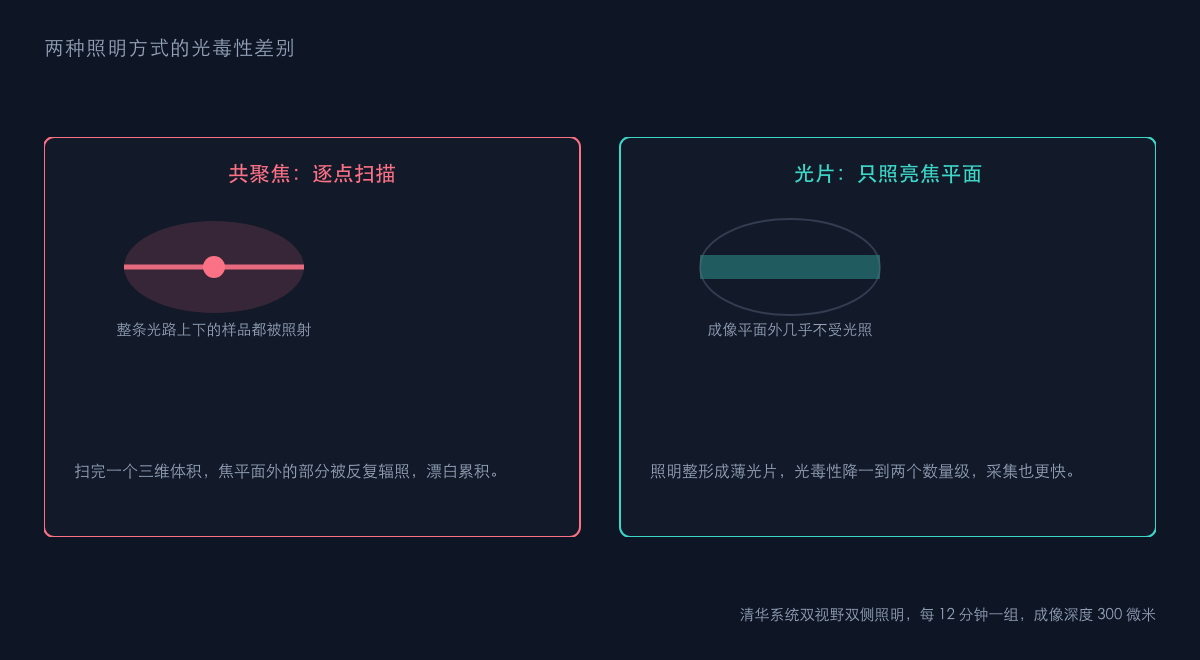 图1:光片显微镜与传统共聚焦的照明方式对比