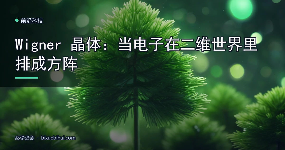 Wigner 晶体:当电子在二维世界里排成方阵