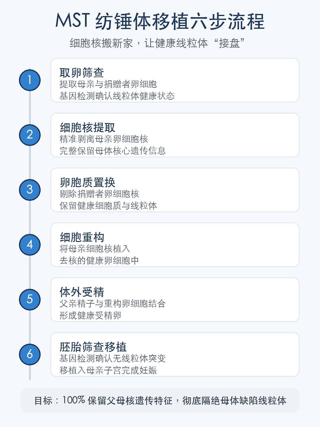 MST 纺锤体移植六步流程信息图