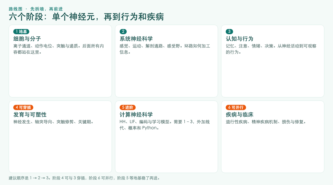 神经科学自学六个阶段