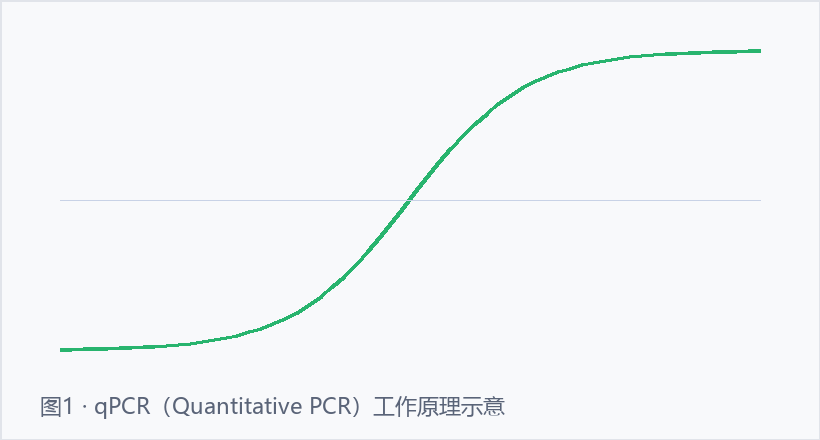 qPCR示意图