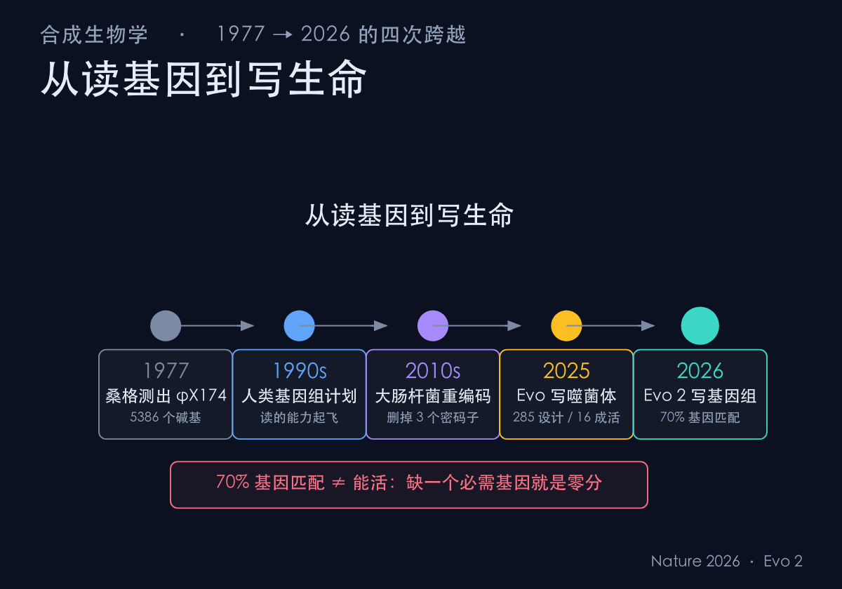 从读到写的时间线