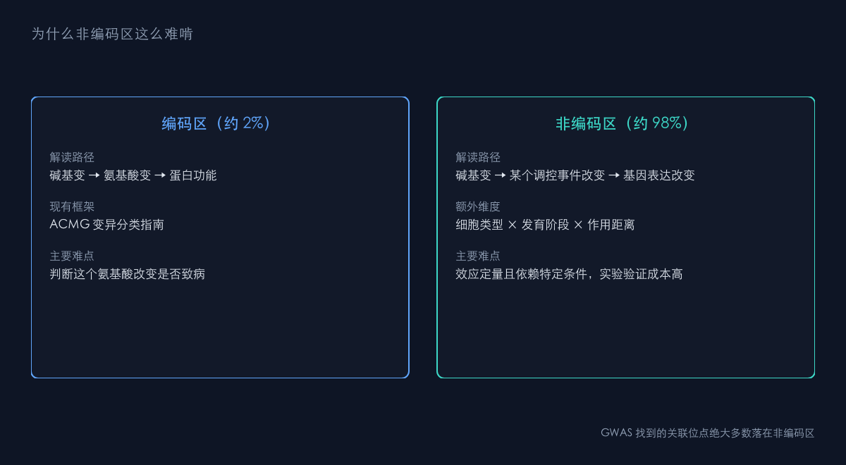 图1：90 亿变异与 2% 编码区的反差