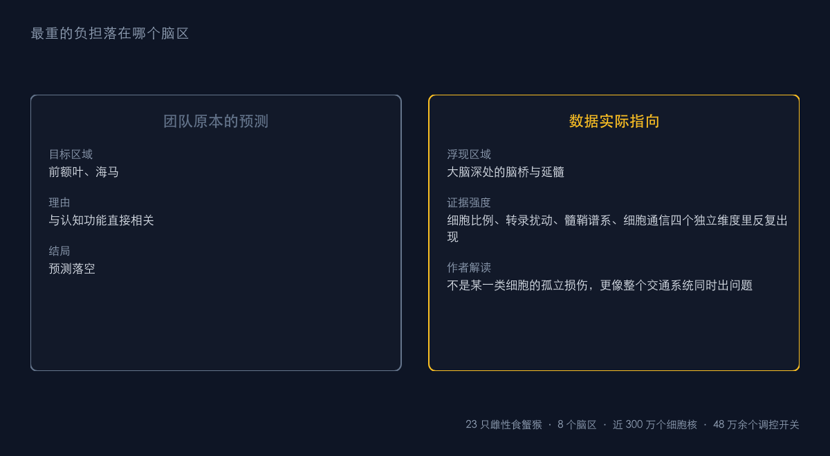 图1：最重的负担落在哪个脑区