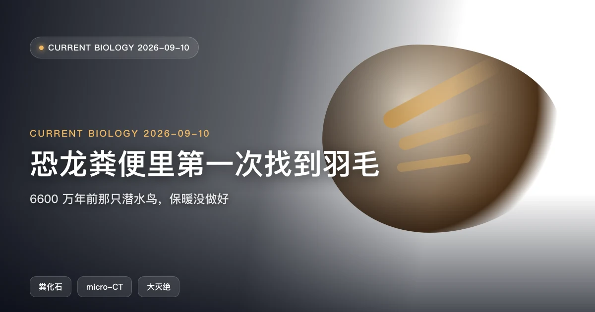 恐龙粪便里第一次找到羽毛,顺带讲清了谁活过了大灭绝