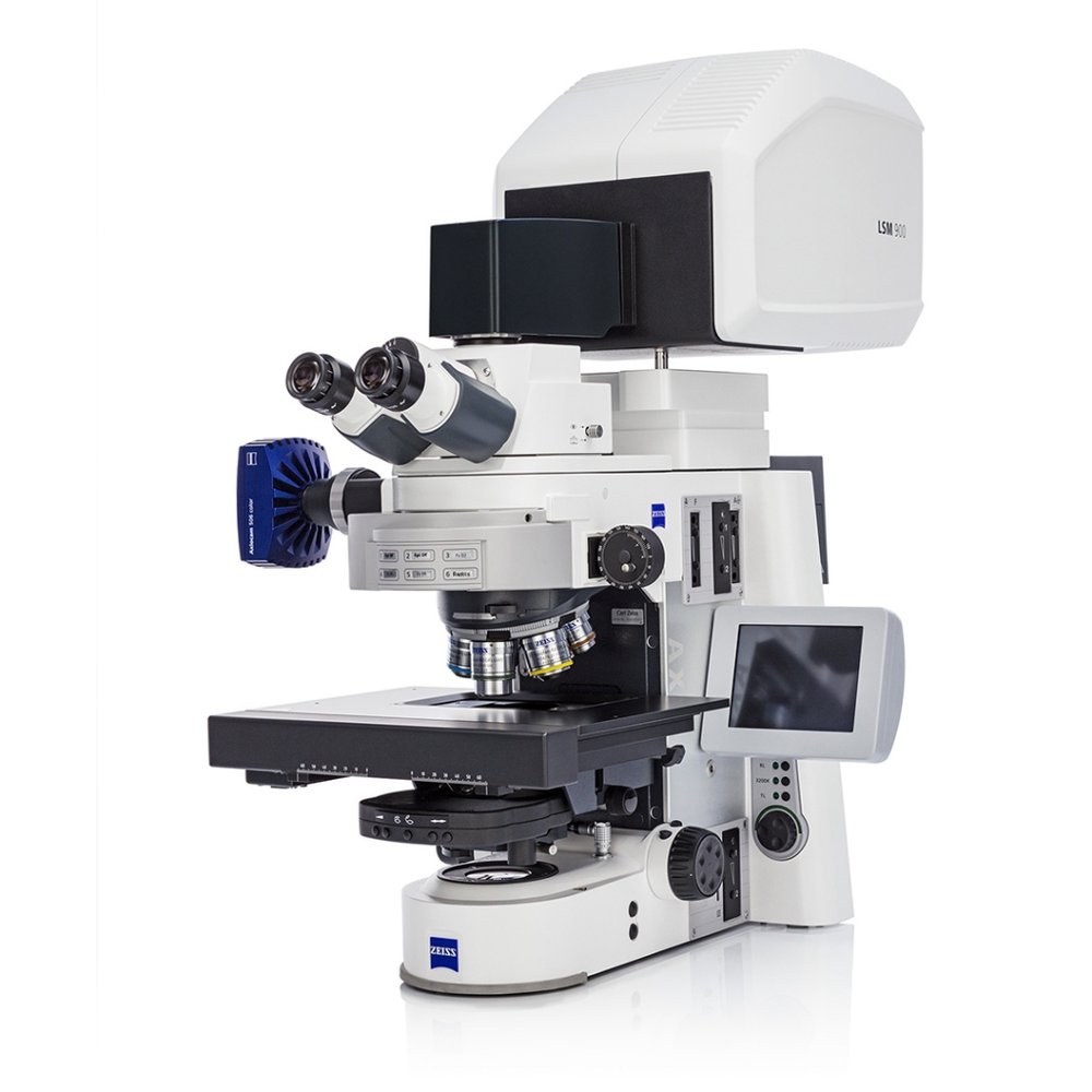 ZEISS LSM 900 激光共聚焦显微镜