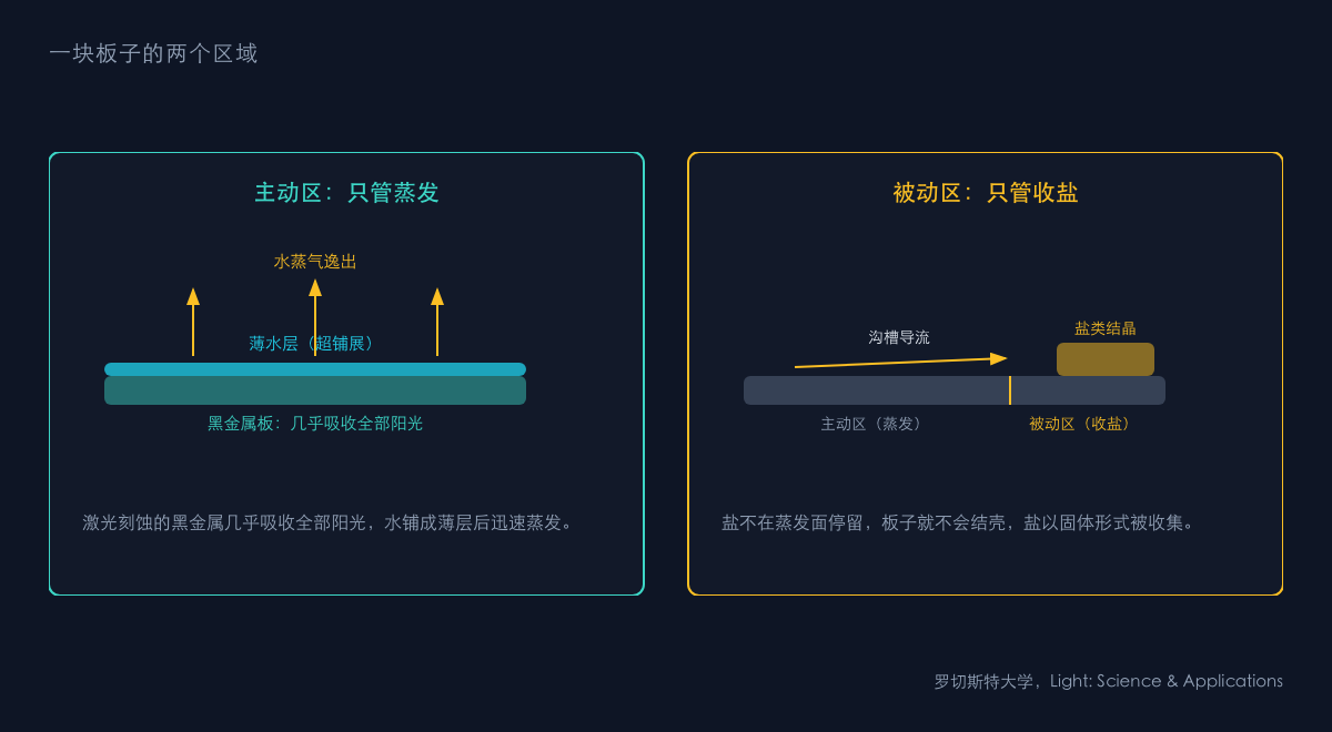 图1：面板的主动区与被动区