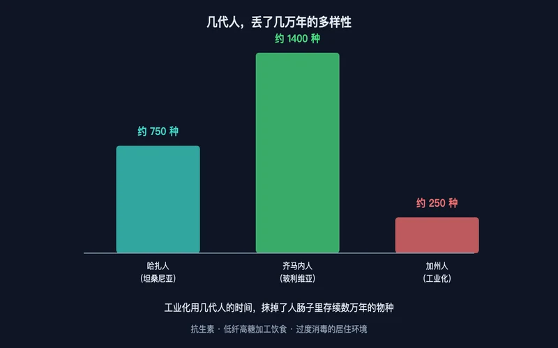图3：几代人丢了几万年的多样性——哈扎人约 750 种、齐马内人约 1400 种、加州人约 250 种