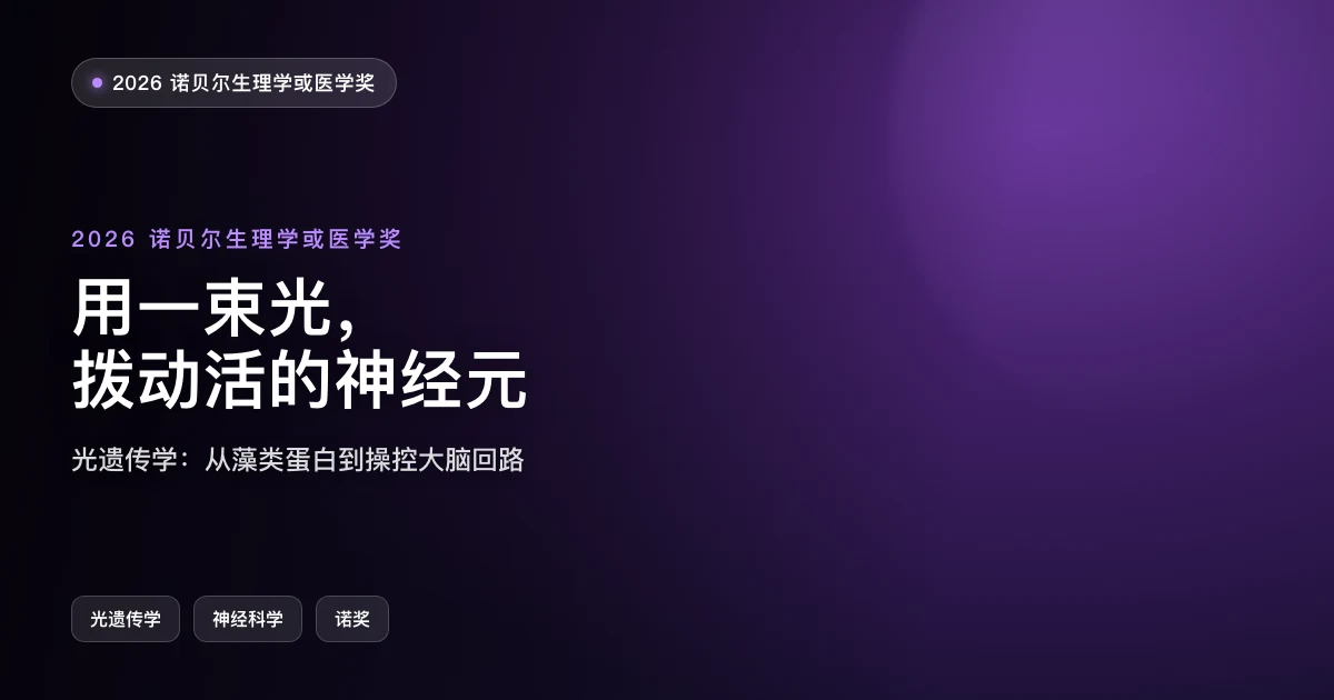 用一束光，拨动活的神经元