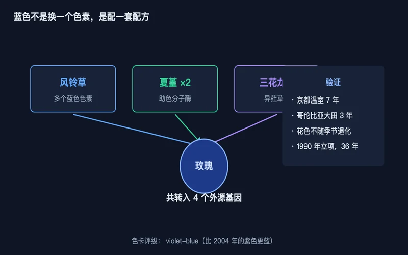 图1：四个外源基因的来源与验证方式，一路做色素，三路做助色分子