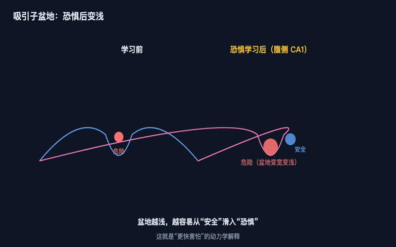 图2：学习前两个盆地分明；恐惧学习后危险盆地变浅变宽，安全与威胁更易连通