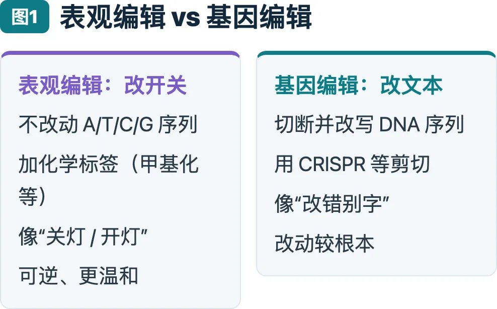 表观编辑 vs 基因编辑