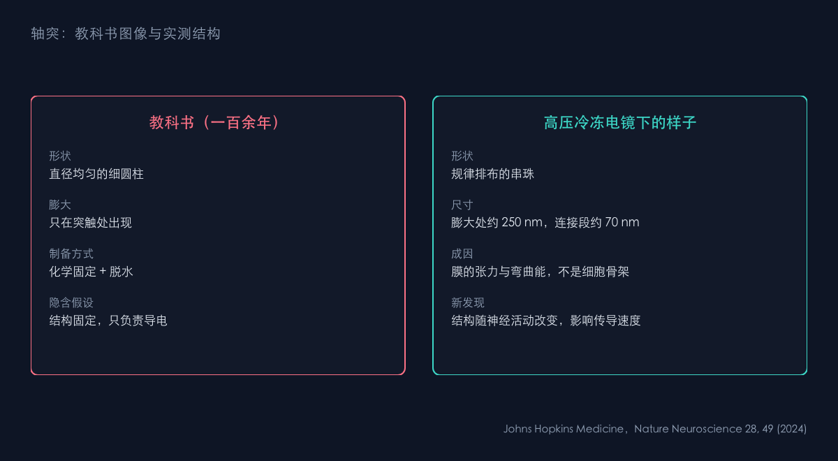 图1：光滑管与珍珠串的对比