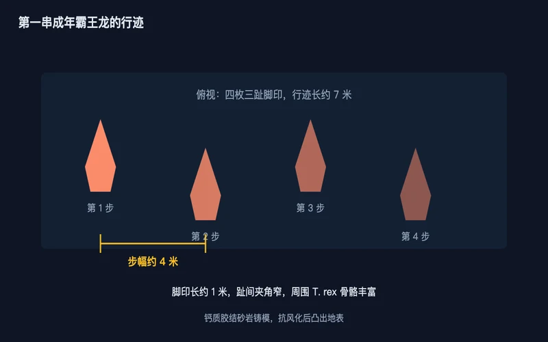 图1：俯视的四枚三趾脚印与约 4 米的步幅标注