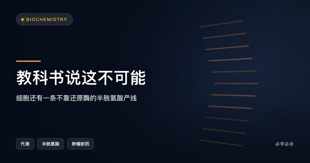 教科书说这不可能：细胞还有一条不靠还原酶的半胱氨酸产线