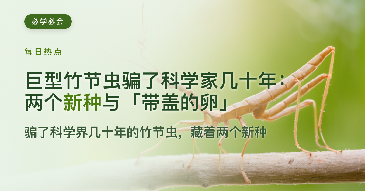 巨型竹节虫骗了科学家几十年：两个新种与「带盖的卵」