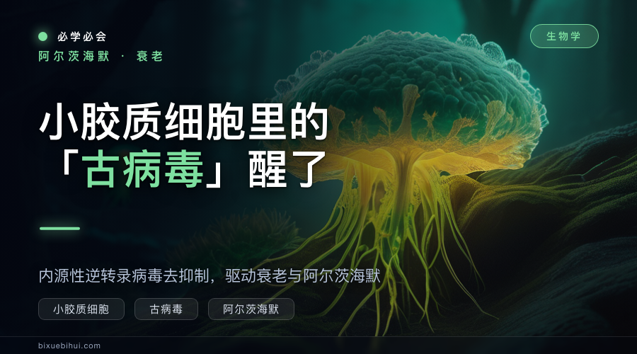 小胶质细胞里的“古病毒”醒来:驱动衰老与阿尔茨海默