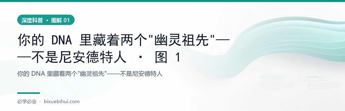 你的 DNA 里藏着两个